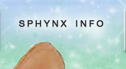 Sphynx Cat Breed Info
