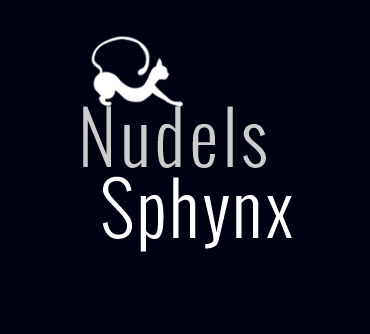 Nudels Sphynx Cats